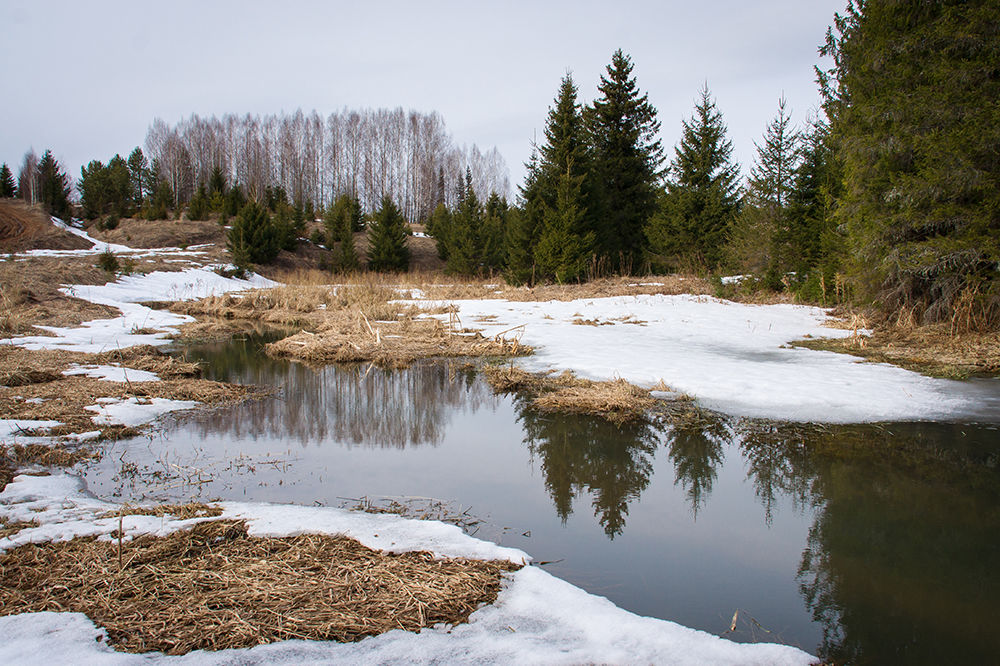 Здесь весенне. Заводь Лесной пруд ручей. Село ручейки. Заводь Весна. Ручейки Озерки.