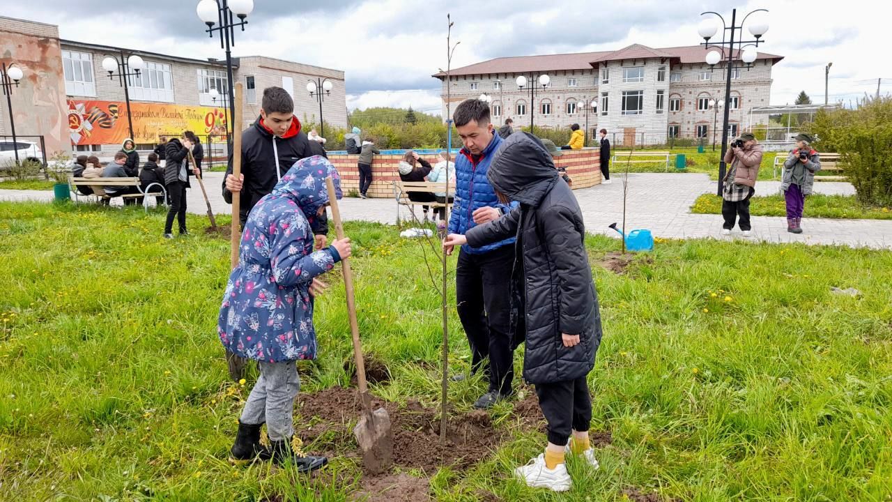 Мәктәп урманчылыгын булдыру проектын тормышка ашыру кысаларында Раифа авыл җирлегендә Хәтер аллеясына нигез салынды