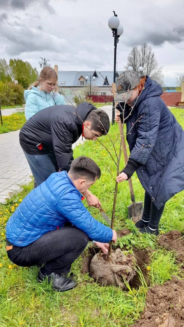 Мәктәп урманчылыгын булдыру проектын тормышка ашыру кысаларында Раифа авыл җирлегендә Хәтер аллеясына нигез салынды