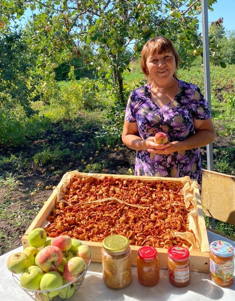 Бакчаларның хуш исле алмалардан тулып торган чагы булса, хуҗабикәләрнең кышка витаминлы ризыклар әзерләү чоры