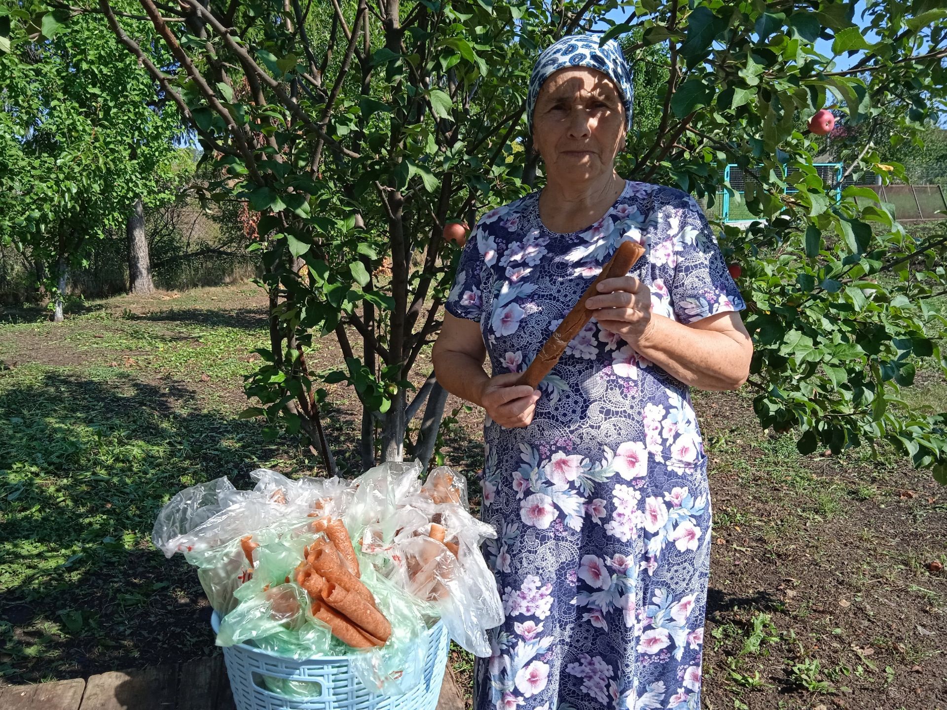 Бакчаларның хуш исле алмалардан тулып торган чагы булса, хуҗабикәләрнең кышка витаминлы ризыклар әзерләү чоры