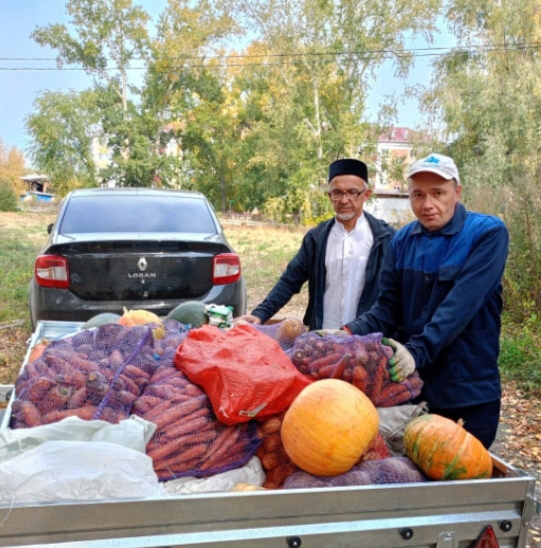 Күгәйлеләр гошер сәдакасы тапшырды