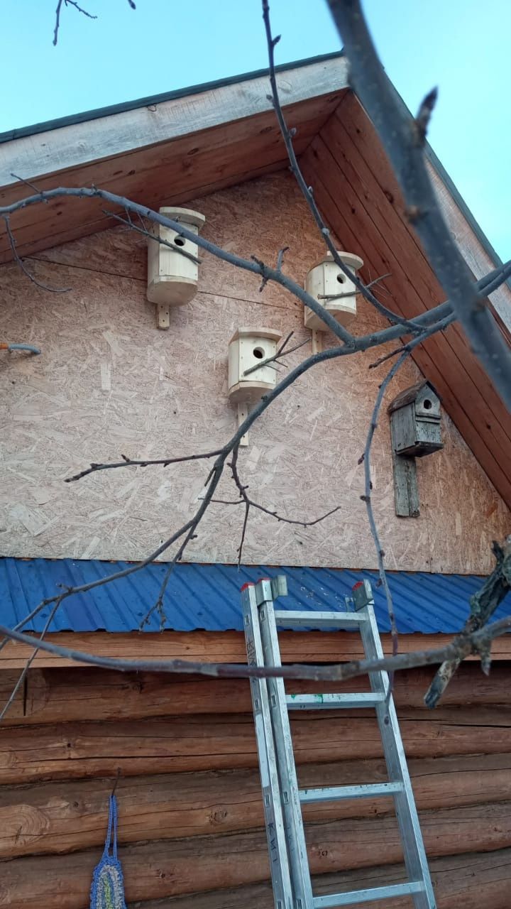 Яз җитүен һәркем шатланып көтеп ала.