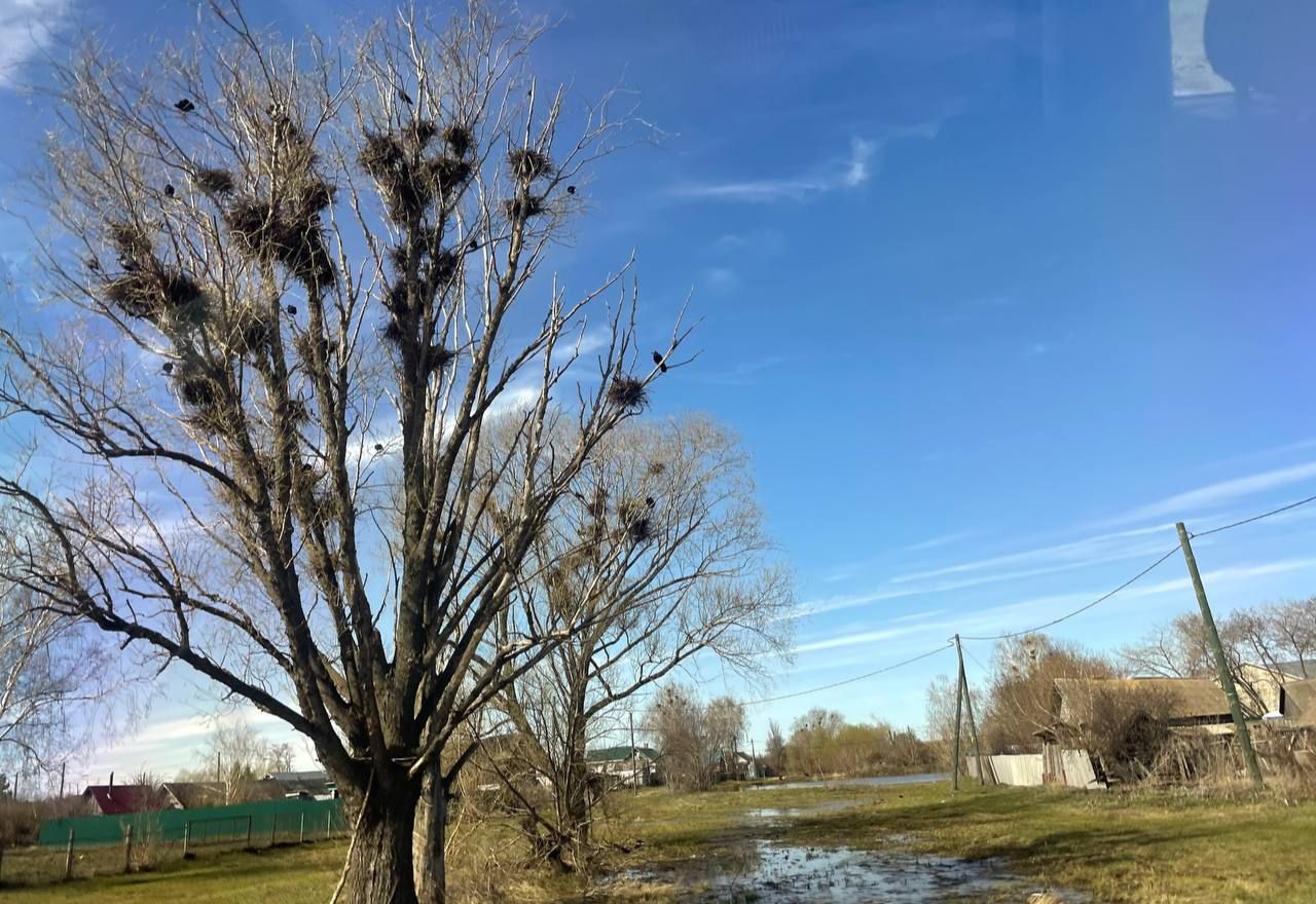 Татарстанда бүген 26°C ка кадзр җылы һәм урыны белән яшенле яңгыр булуы көтелә