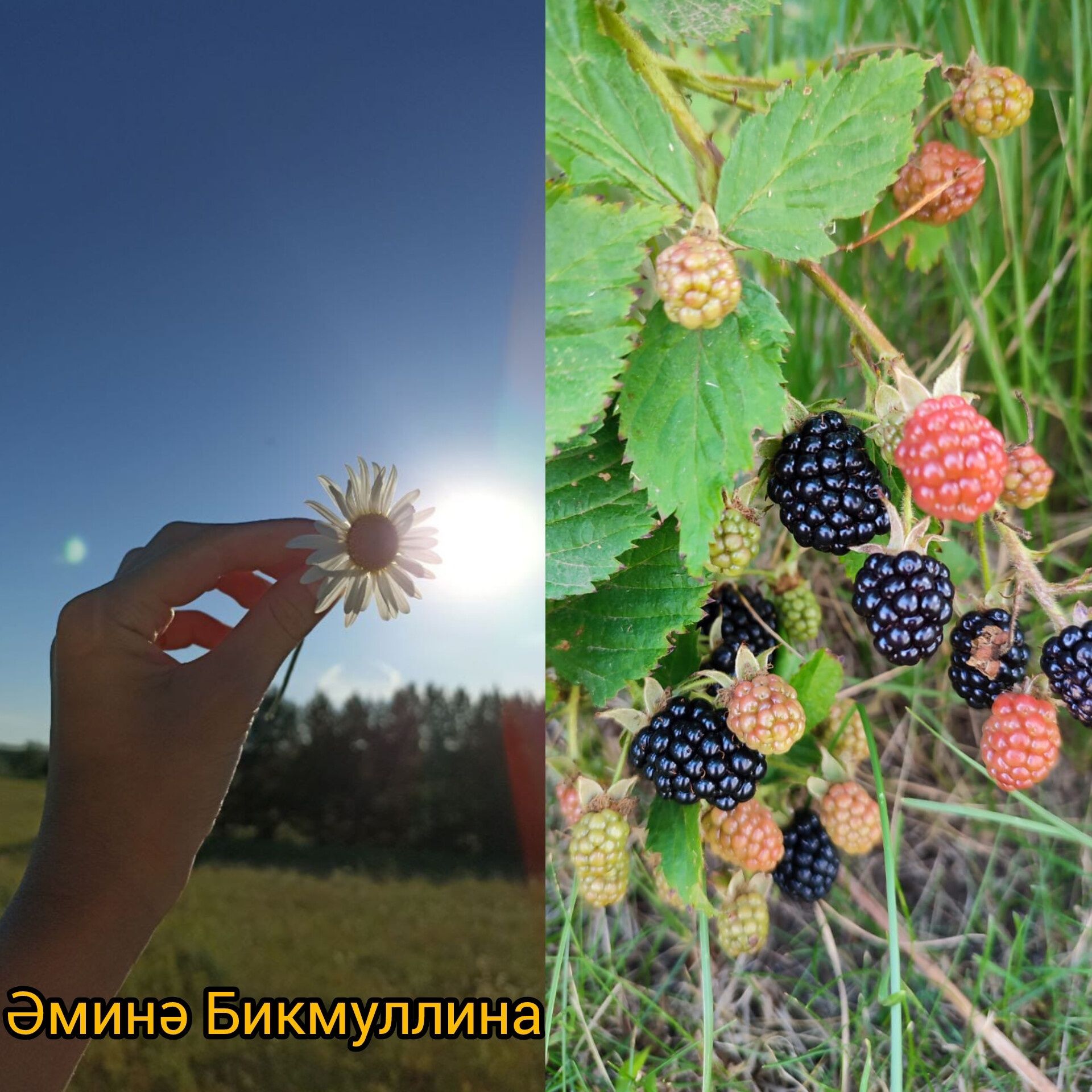 Бакырчы авылында «Яшь фотографлар» дип исемләнгән фотосессия оештырганнар