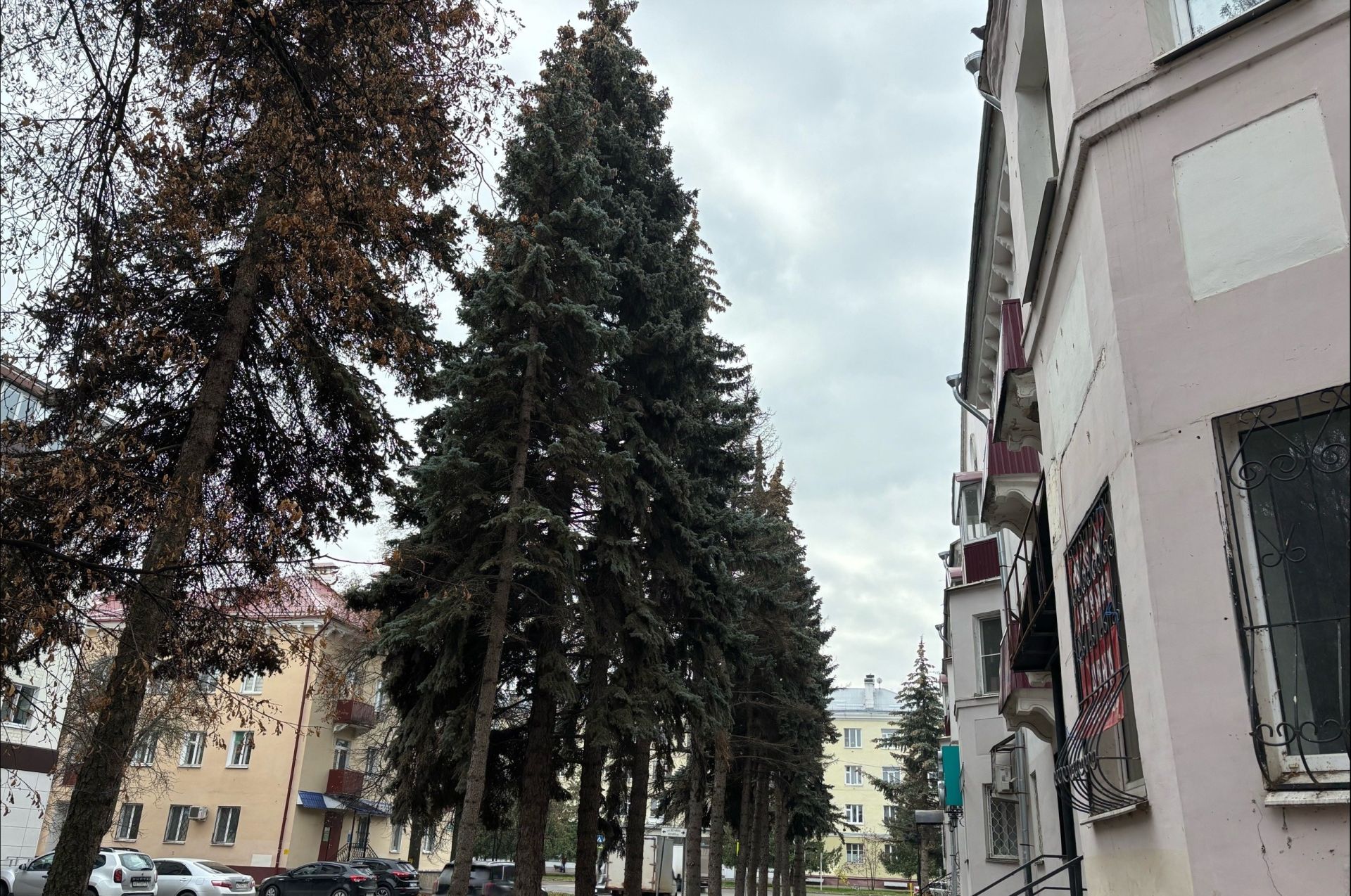 4 ноябрьгә һава торышы