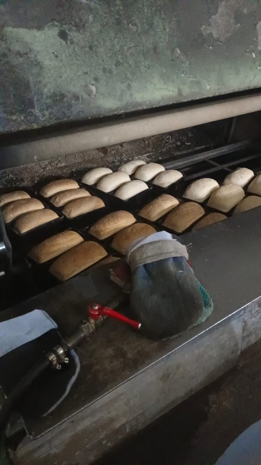 Норлат балалар йорты тәрбияләнүчеләре «тәмле экскурсиягә» барды