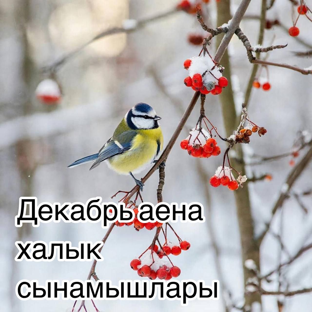 Декабрьгә халык сынамышлары