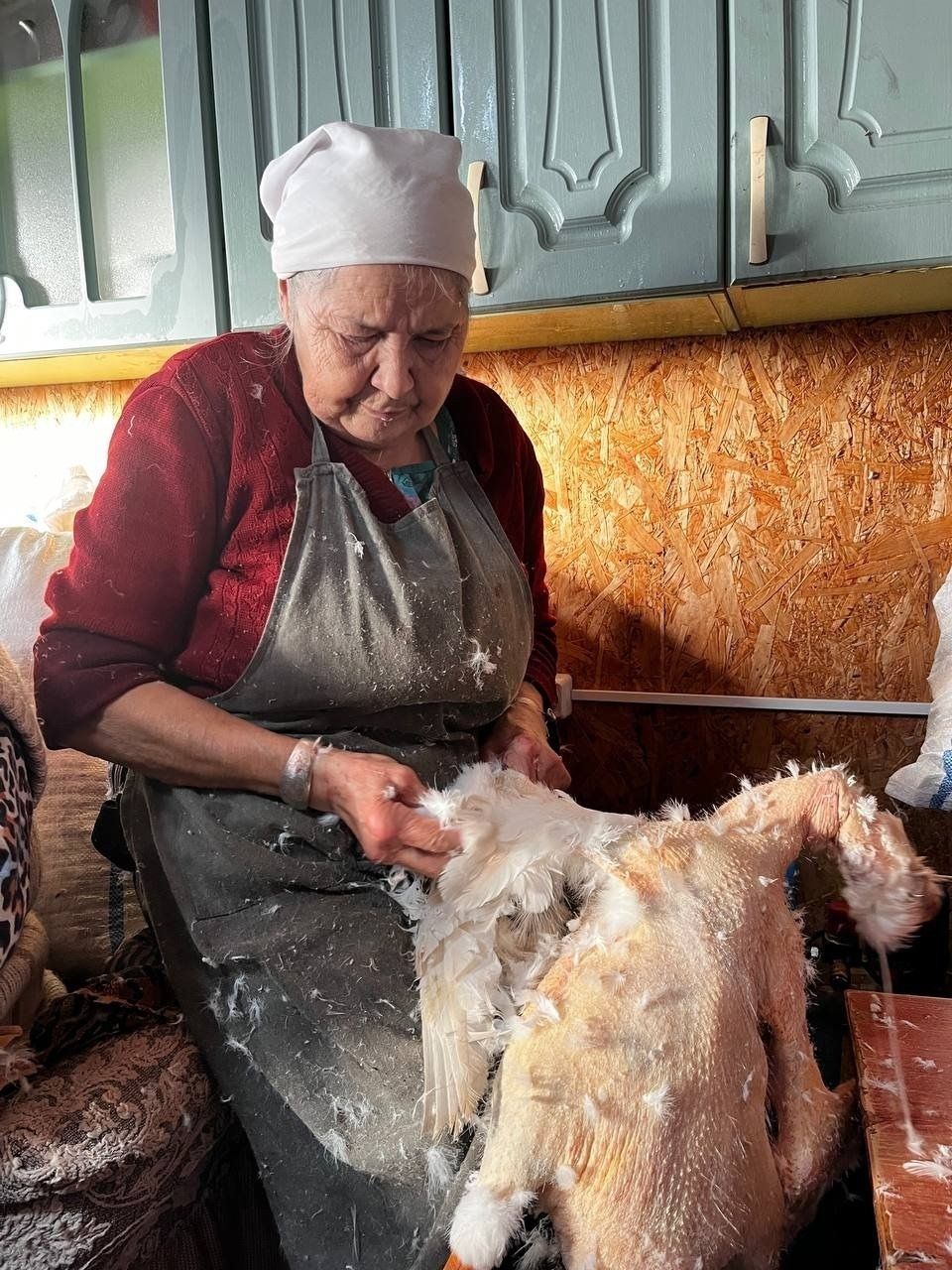 Авылларда каз өмәләре гөрли
