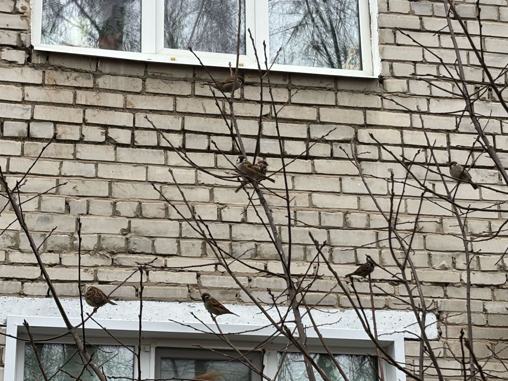 5 декабрьгә һава торышы