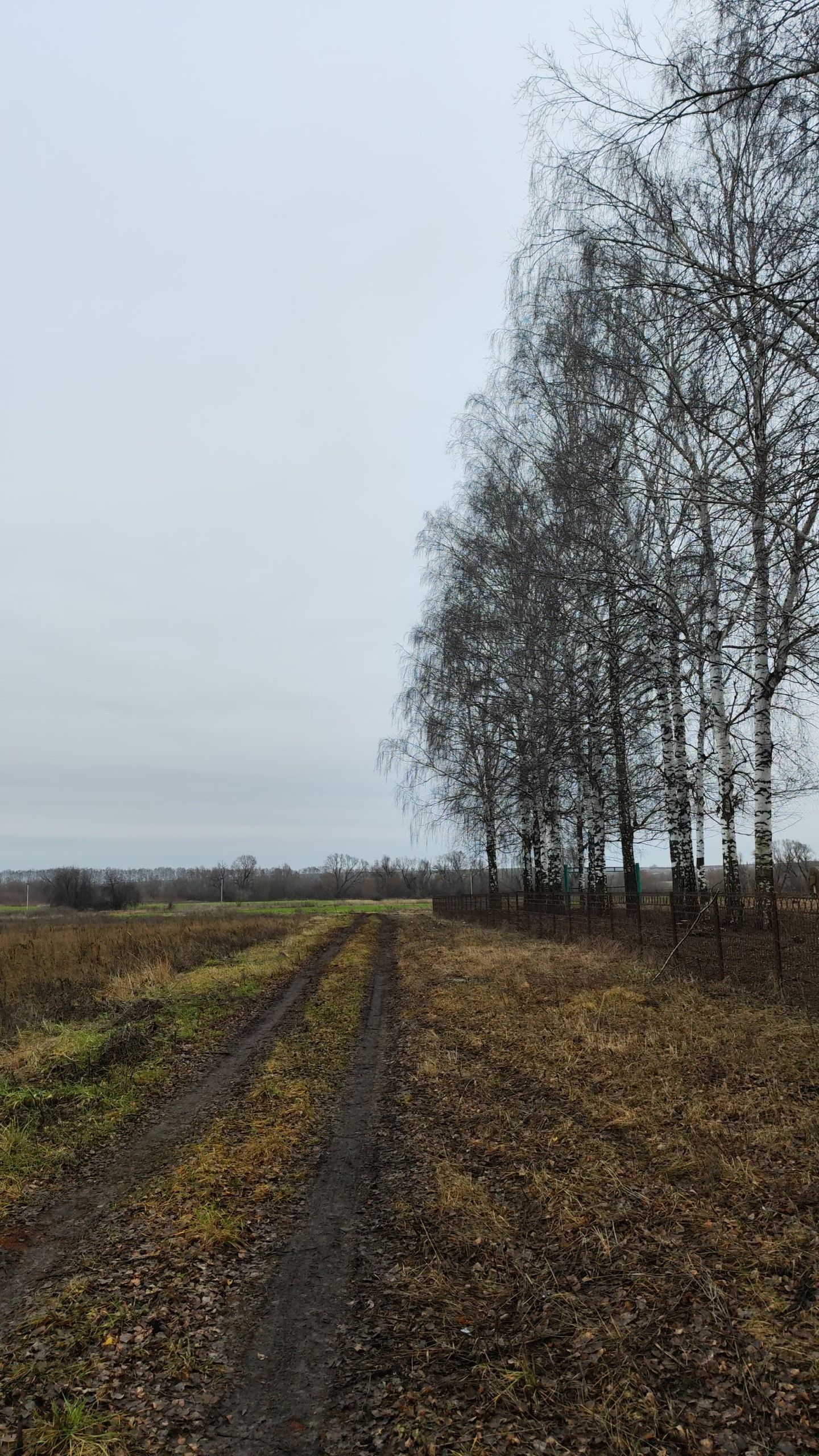 8 декабрьгә һава торышы
