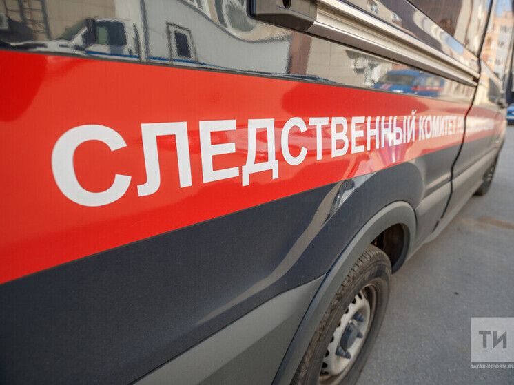 Ореховкада укучы кыз әнисен үтергән