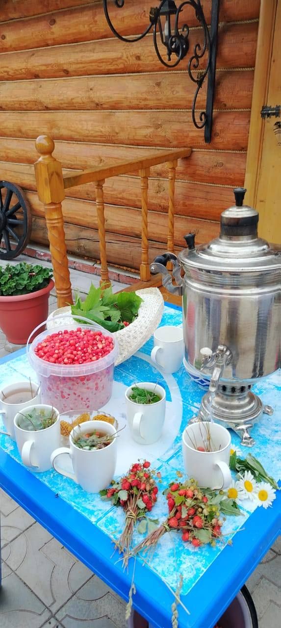 Дуслар, каен җиләге өлгергән ди, җыйдыгызмы әле?