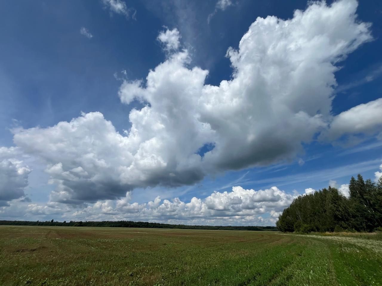 17 июньгә һава торышы
