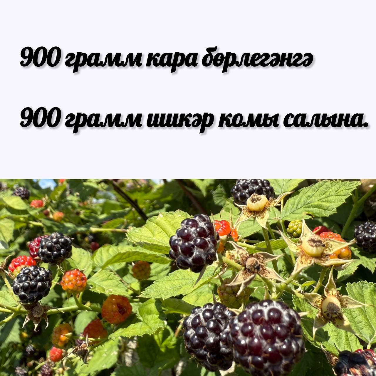 ️Кара бөрлегәннән бик тәмле кайнатма әзерлибез