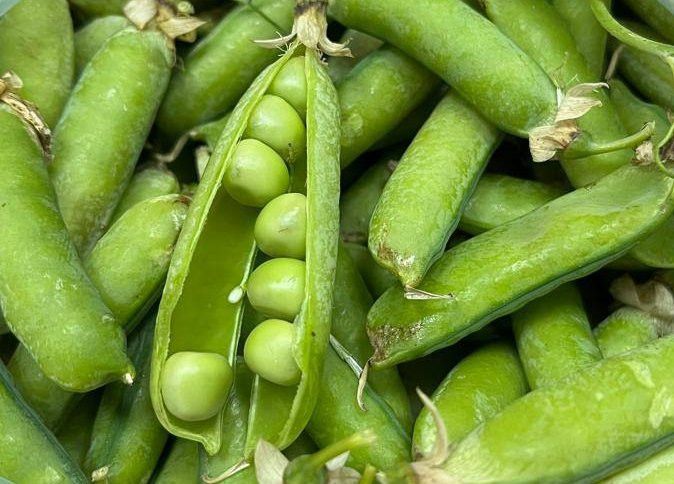 Борчак маринадлау ысулы