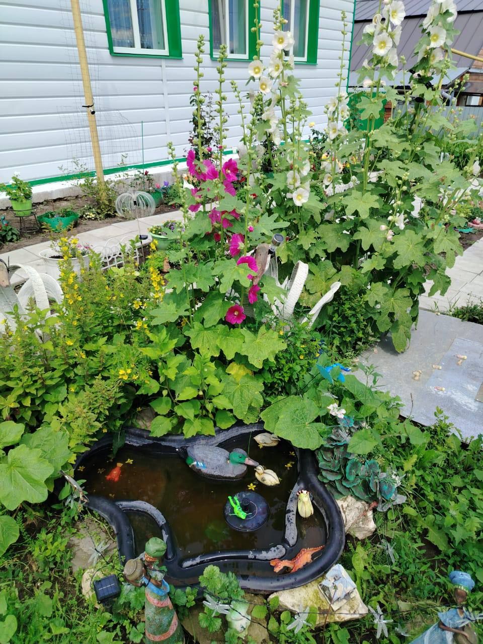 «Өй алдыбыз гөлбакча» бәйгесенең чираттагы катнашучысы - Норлат авылыннан Лилия Сибгатуллина