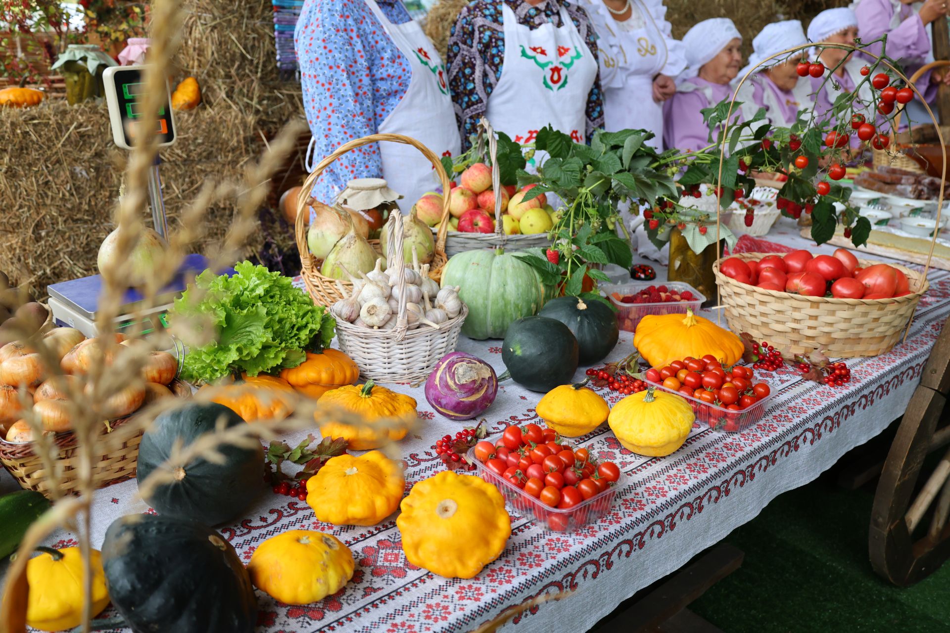 Яшел Үзән районы «Бакчачы көне»н гөрләтте