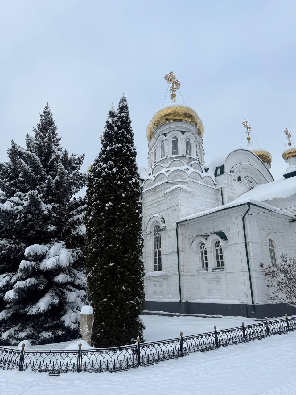 Раифа кунаклар кабул итте