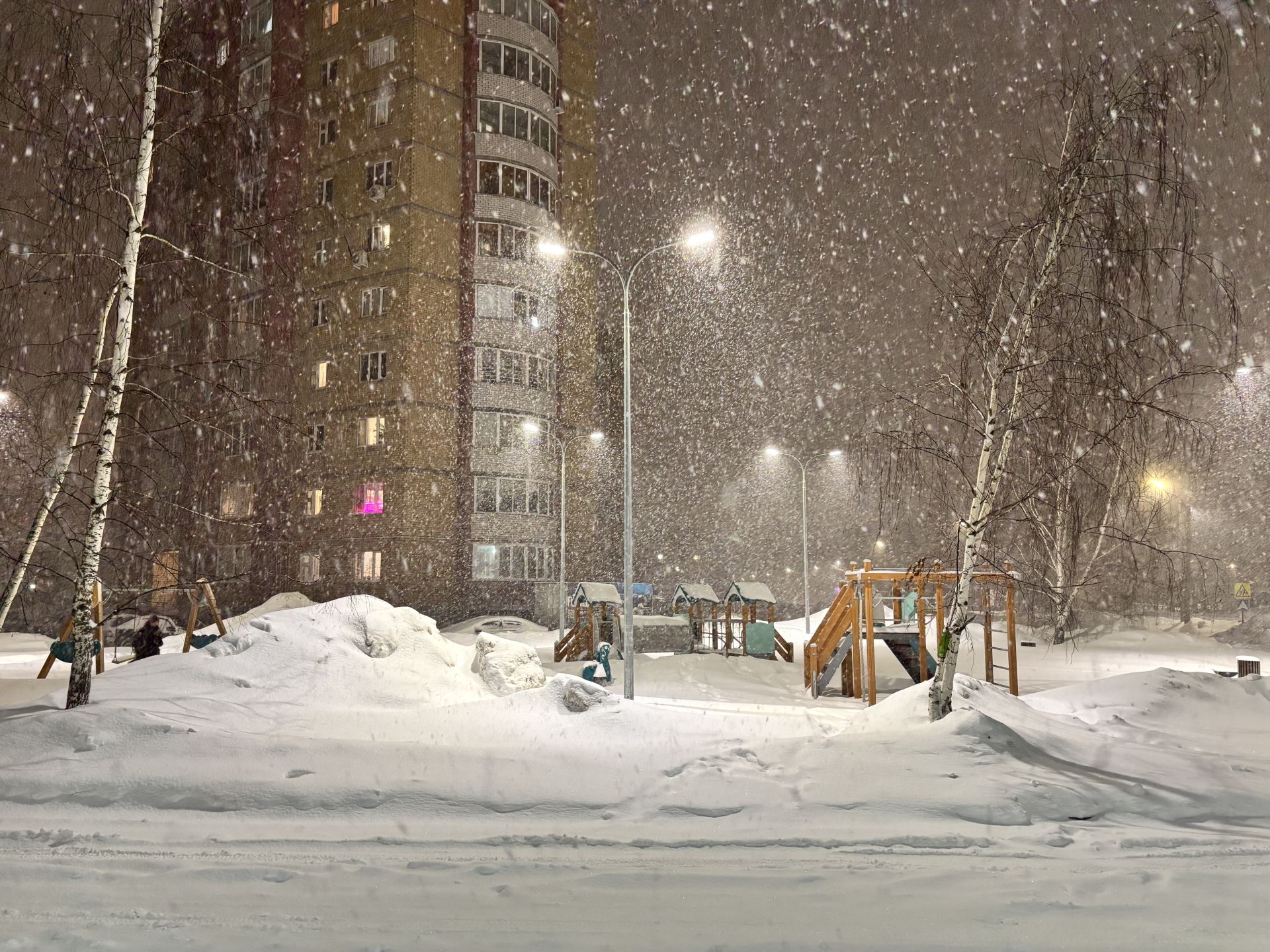 29 гыйнварга һава торышы