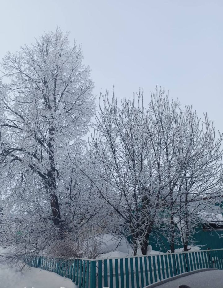 1 февральгә һава торышы