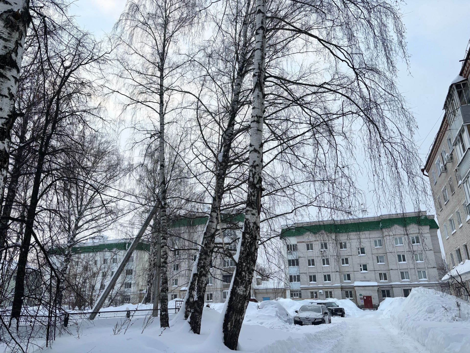 12 февральгә һава торышы