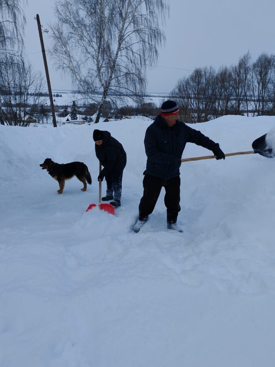 Олы Шырдан мәдәният йорты мөдире Наҗия Хәсәнова хезмәттәшләре белән бергә кар көри