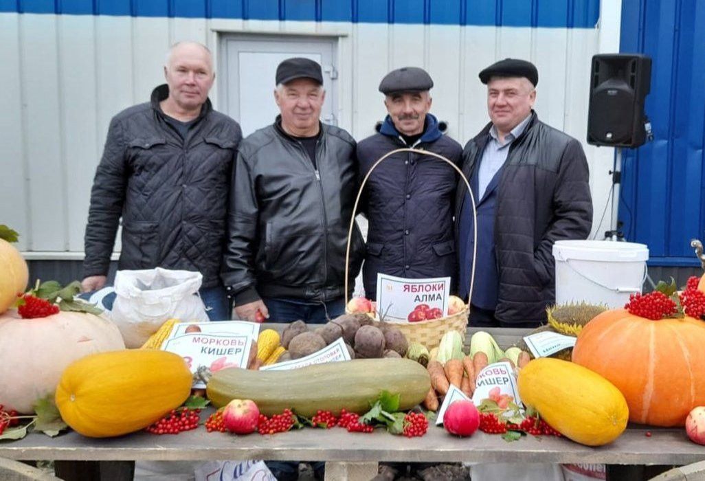 Авыл хуҗалыгы ярминкәләре 14 мартта эшли башлаячак