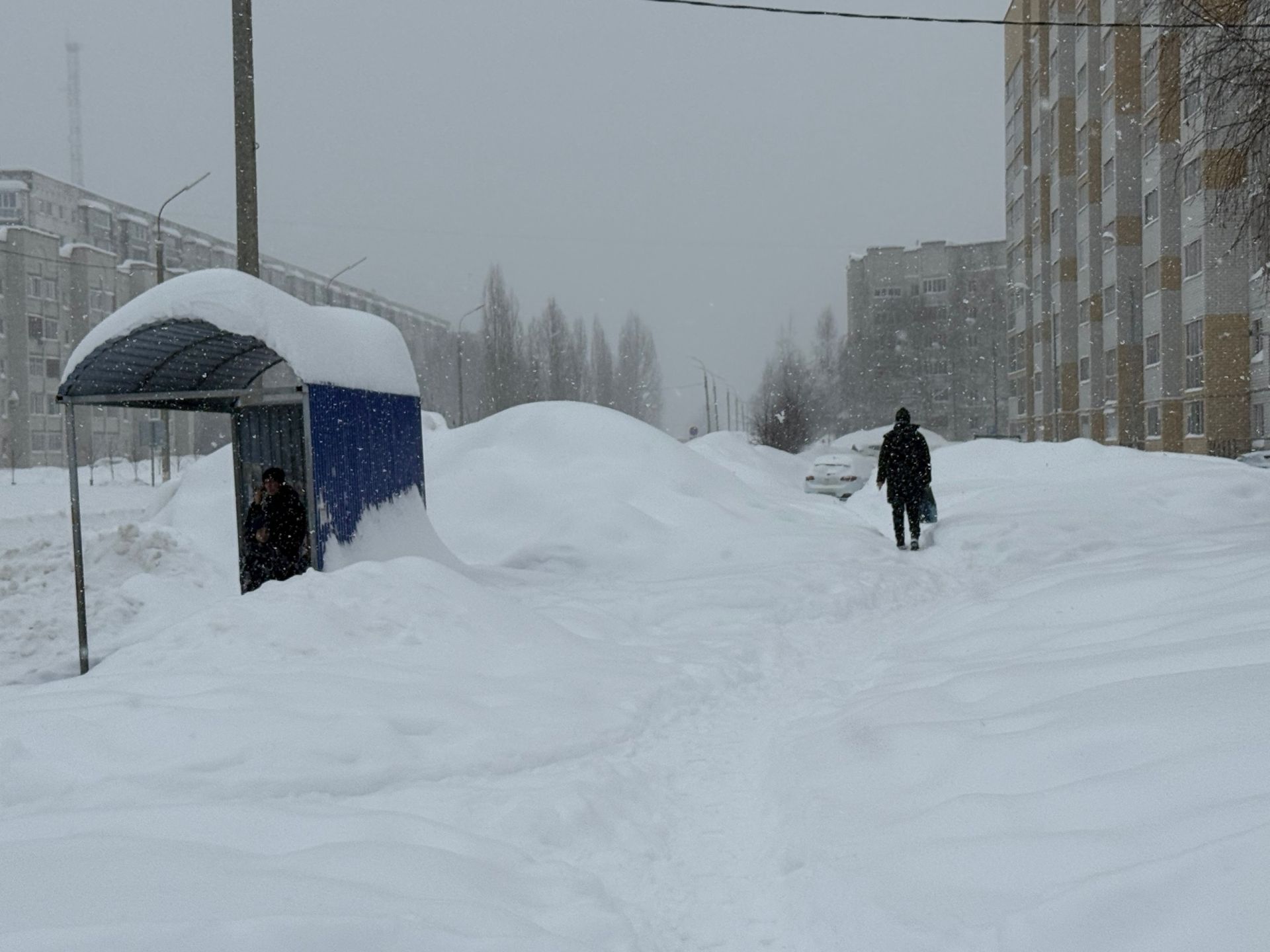 Синоптик Тишковец Татарстанда кар көртләренең биеклеге 95 см га җитте, дип белдерде