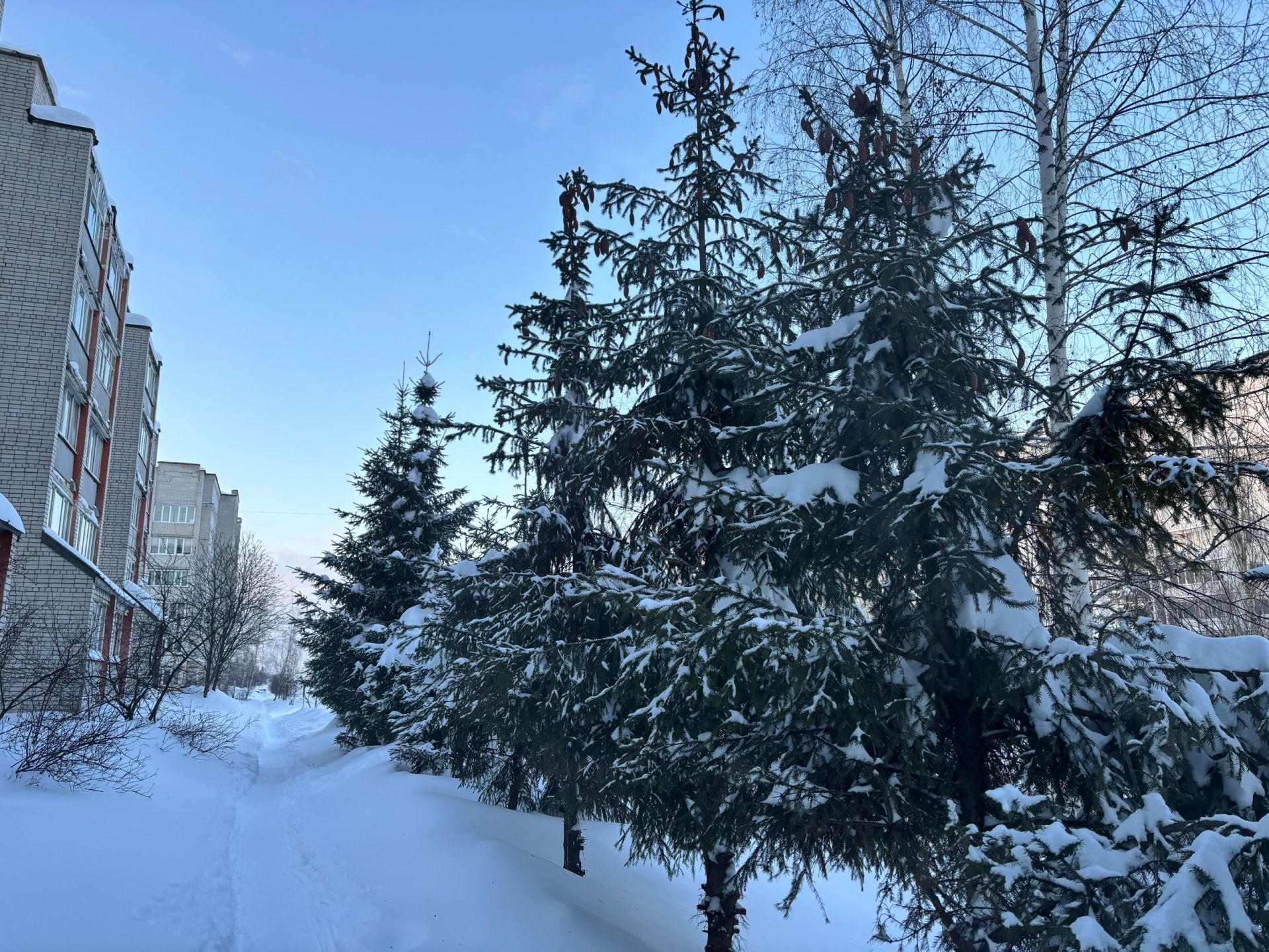 7 февральгә һава торышы