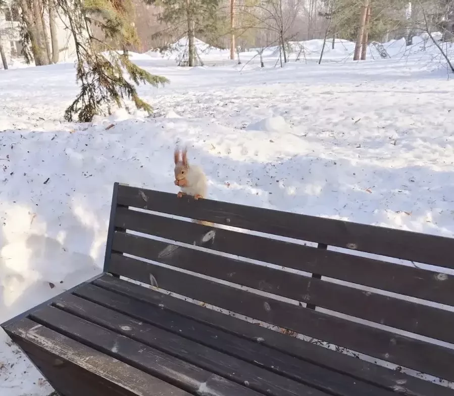 16 мартка һава торышы