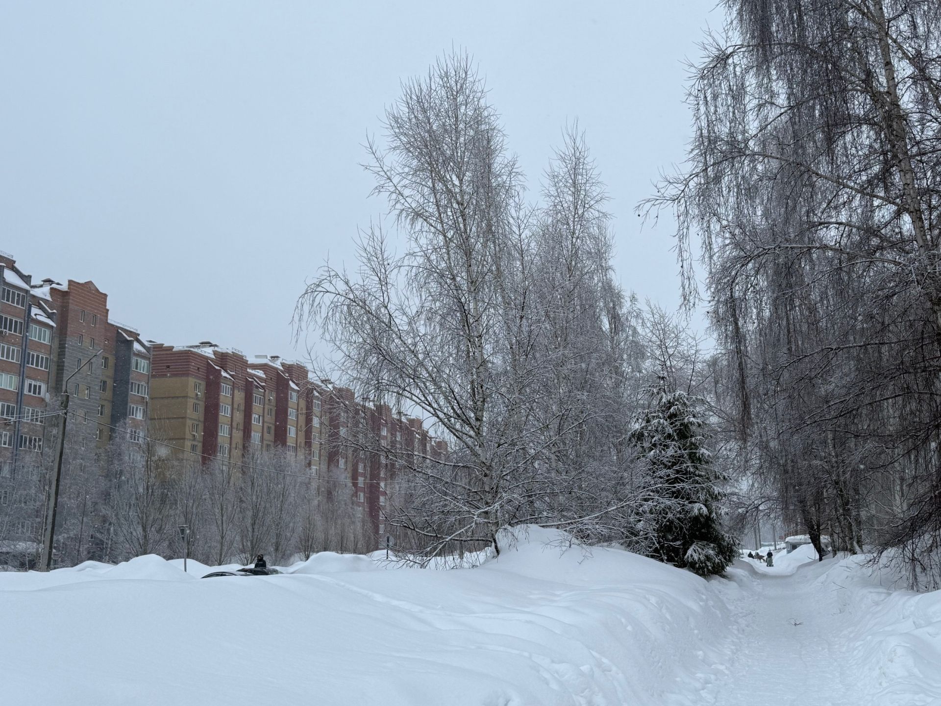 6 мартка һава торышы