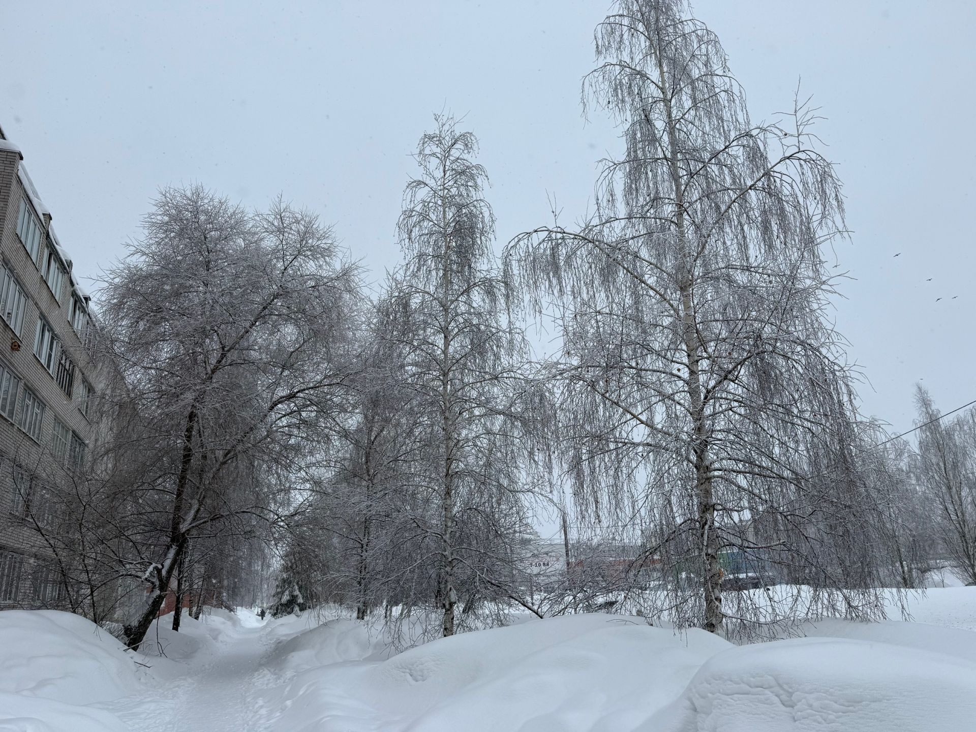 Татарстанда тотрыксыз һава торышы 27 градуслы салкыннарга алышыначак
