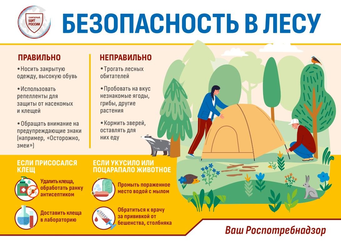 Баланы лагерьга әзерләү: таләпләр, документлар, аптечка һ.б.