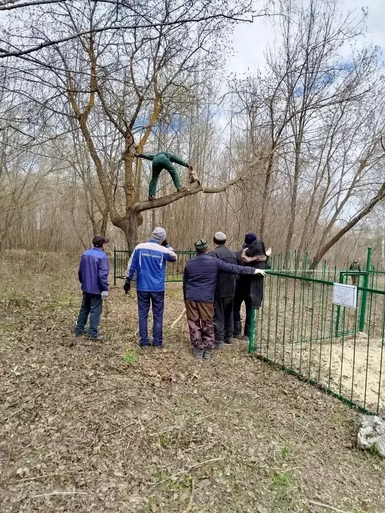 Кече Шырдан авылында зур өмә узды