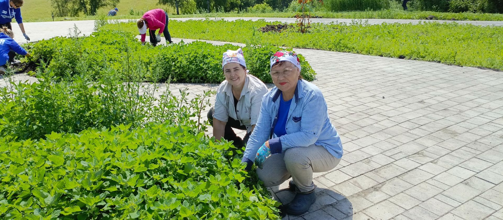 Идел аръягы үзәкләштерелгән клублар челтәре мәдәният хезмәткәрләре өмәгә чыкты