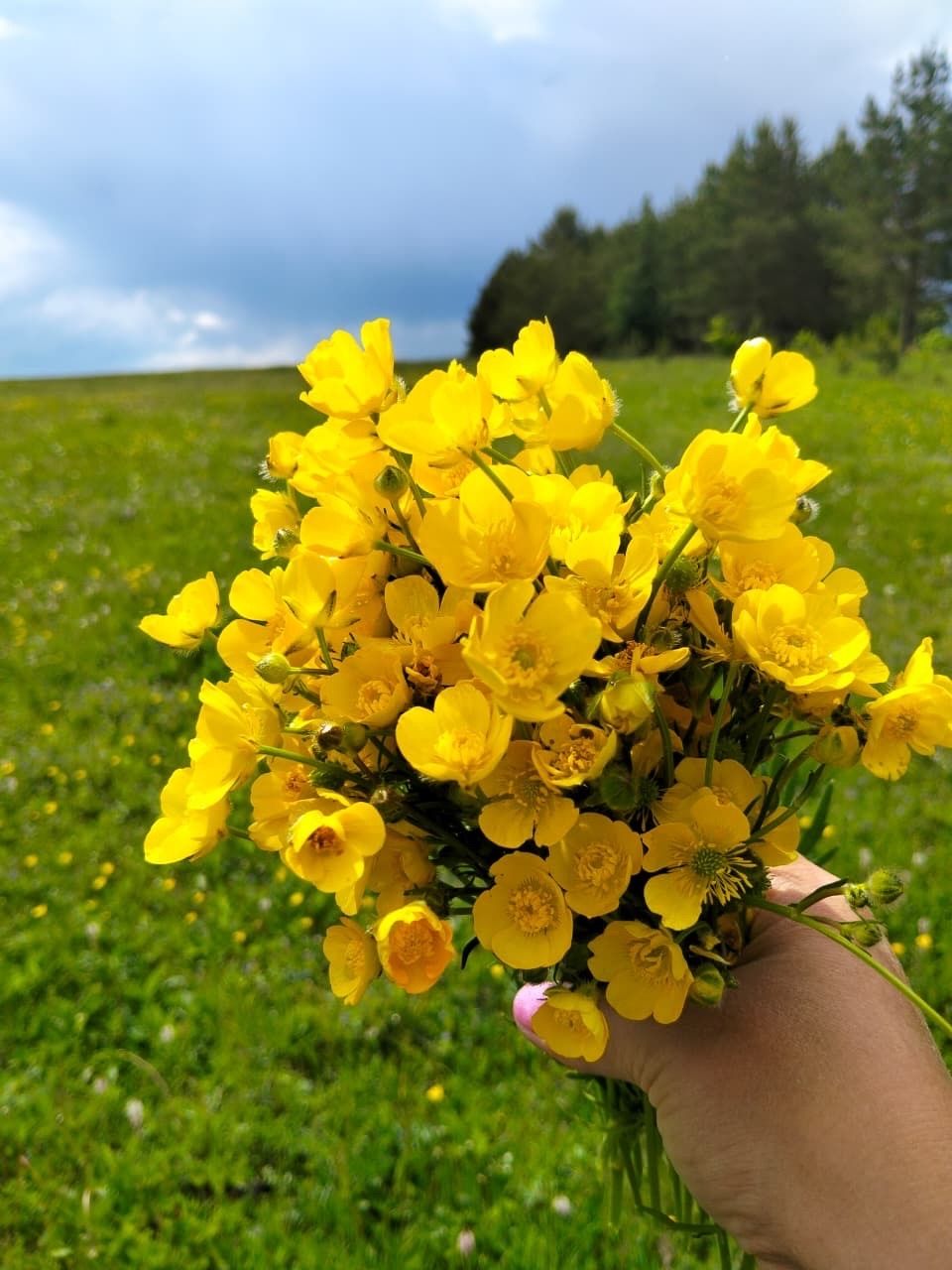 4 июньгә һава торышы