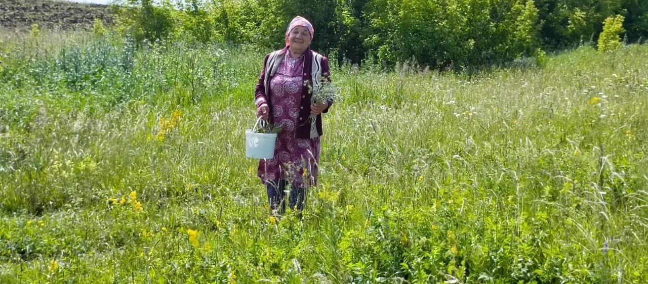 Җәй уртасы, туган көн һәм дару үләннәре: «Хәзинә» коллективы табигать кочагында