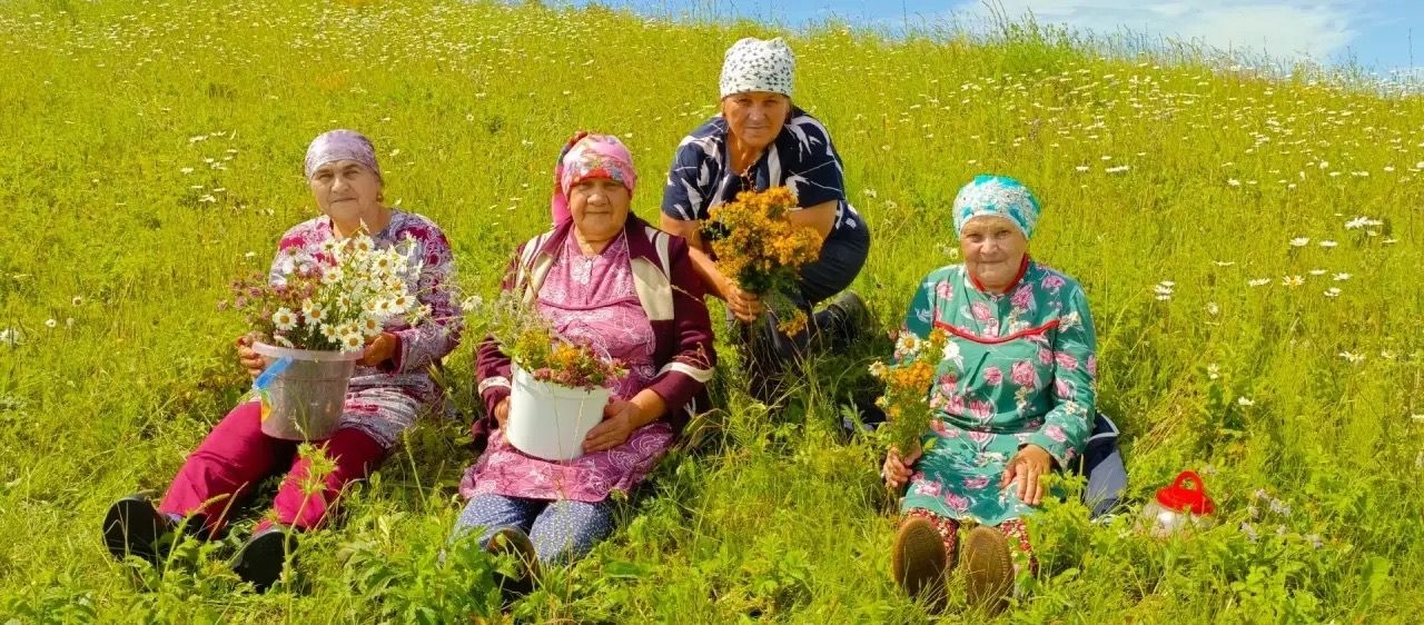 Җәй уртасы, туган көн һәм дару үләннәре: «Хәзинә» коллективы табигать кочагында
