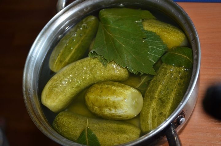 Искиткеч тәмле кыяр тозлау рецепты
