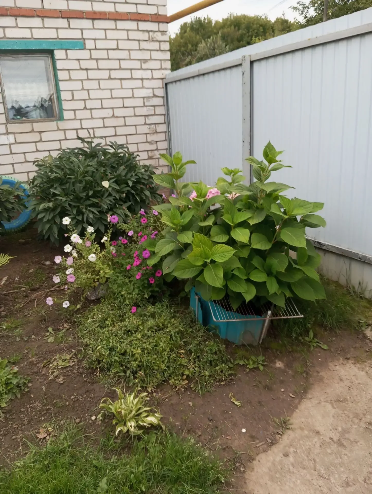 Гөлчирә апа Шаһиева өе яныннан үтүе дә күңелгә рәхәтлек бирә