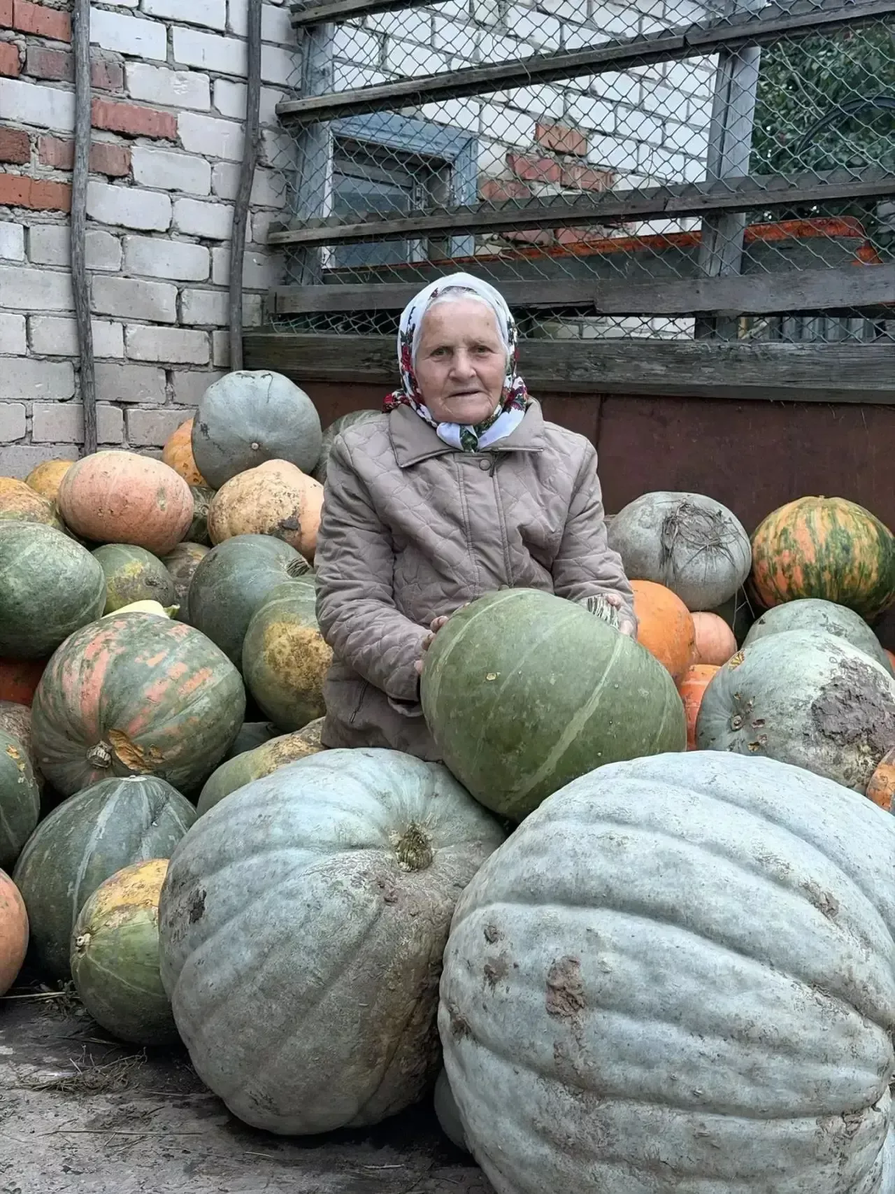 Каратмән авылыннан Хадия Гатауллина үстергән мул уңышны күрегез әле!