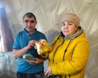 Инвалидлар декадасы кысаларында игелекле эшләр дәвам итә