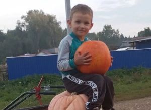 Чи кабак файдалы