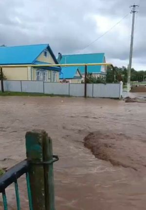 Рүзәл Минһаҗев: «Афәт килде авылыбызга...»