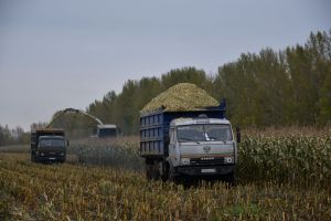 Авыл хуҗалыгы һәм эшкәртү сәнәгате хезмәткәрләре көне белән!