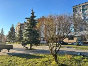 31 октябрьгә һава торышы
