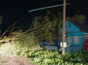 Районда агачлар ауды, утсыз калган урамнар да булды, кеше гомере өзелде