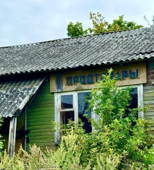 Ник элек ипине капчыклап алганнар? Сораштыру