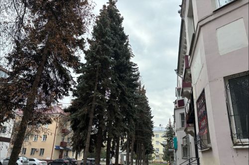4 ноябрьгә һава торышы